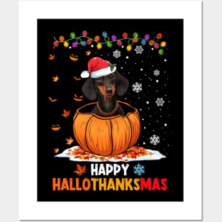 Dachshund On Pumpkin Happy Hallothanksmas Posters and Art